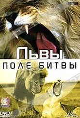 Обложка Фильм BBC Львы Поле битвы (Lions battlefield)