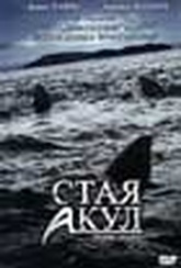 Обложка Фильм Стая акул (Shark swarm)