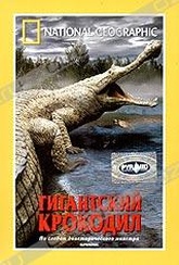 Обложка Фильм National Geographic Video. Гигантский крокодил
