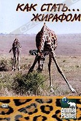 Обложка Фильм Animal Planet: Как стать... жирафом (Growing up...: giraffe)