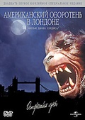 Обложка Фильм Американский оборотень в Лондоне (American werewolf in london, an)
