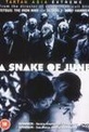 Обложка Фильм Июньская змея (S: a snake of june/ rokugatsu no hebi)