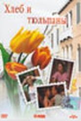 Обложка Фильм Хлеб и тюльпаны  (Pane e tulipani)
