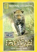 Обложка Фильм National Geographic. Леопарды
