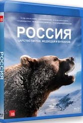 Обложка Фильм Россия Царство тигров медведей и вулканов
