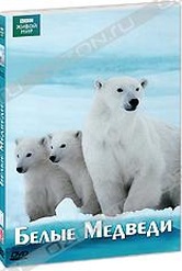 Обложка Фильм BBC: Белые медведи (Polar bear battlefield)