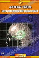 Обложка Фильм Discovery: Защита и восстановление. Мозг: кладовая сознания (Body atlas. the brain. defend and repair)