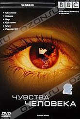 Обложка Фильм BBC: Чувства человека (Human senses)