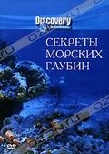 Обложка Фильм Discovery: Секреты морских глубин