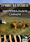 Обложка Фильм Animal Planet: Экстремальное сафари