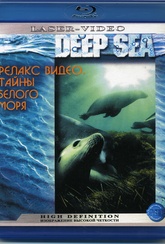 Обложка Фильм Релакс видео Тайны Белого моря