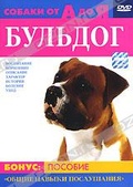 Обложка Фильм Собаки от А до Я: Бульдог