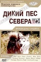 Обложка Фильм Дикий пес Севера (Nikki, wild dog of the north)