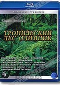 Обложка Фильм Живые пейзажи: Тропический лес Олимпик