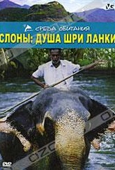 Обложка Фильм Слоны: душа Шри Ланки (Elephants - soul of sri lanka)