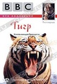 Обложка Фильм BBC: Плотоядные. Тигр. Ускользающая Принцесса (Tiger)
