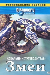 Обложка Фильм Discovery Идеальный путеводитель Змеи (Ultimate guide: snakes)