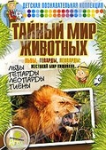Обложка Фильм Тайный мир животных: Львы, гепарды, леопарды: жестокий мир хищников