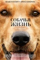 Обложка Фильм Собачья жизнь (A dog's purpose)