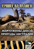 Обложка Фильм Animal Planet: Жемчужины дикой природы Австралии