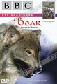 Обложка Фильм BBC: Волк. Лесной разбойник (Wolf)