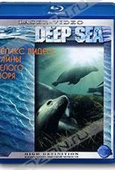 Обложка Фильм Релакс видео: Тайны Белого моря