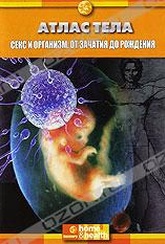 Обложка Фильм Discovery: Секс и организм. От зачатия до рождения (Body atlas. sex. in the womb)
