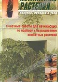 Обложка Фильм Комнатные растения. Покупка, посадка и уход