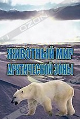 Обложка Фильм Животный мир Арктической зоны