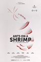 Обложка Фильм Муравьи на креветке (Ants on a shrimp)