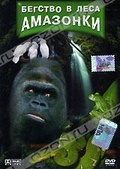 Обложка Фильм Бегство в леса Амазонки