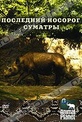 Обложка Фильм Animal Planet: Последний носорог Суматры (Animal planet: the last rhino)