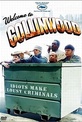 Обложка Фильм Добро пожаловать в Коллинвуд (Welcome to collinwood)