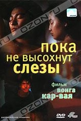 Обложка Фильм Пока не высохнут слезы (Wong gok ka moon / as tears go by)