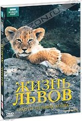 Обложка Фильм BBC: Жизнь львов (Lions: spy in the den)