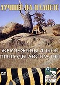 Обложка Фильм Animal Planet: Лучшее на планете. Жемчужины дикой природы Австралии