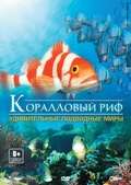 Обложка Фильм Коралловый риф удивительные подводные миры (Facination coral reef: mysterious worlds under water)