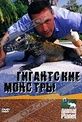 Обложка Фильм Animal Planet. Гигантские монстры (Animal planet: giant monsters)