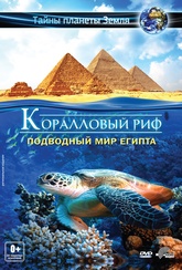 Обложка Фильм Коралловый риф Подводный мир Египта