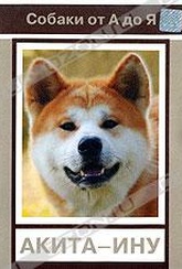 Обложка Фильм Собаки от А до Я: Акита-ину