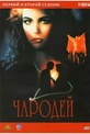 Обложка Сериал Чародей (Spellbinder)