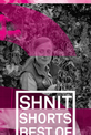Обложка Фильм Программа «Best of Shnit 2018. Игровое кино»