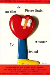 Обложка Фильм Большая любовь (Le grand amour)