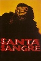 Обложка Фильм Святая кровь (Santa sangre)