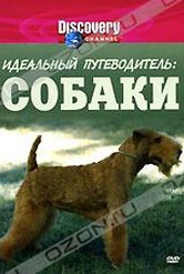 Обложка Фильм Discovery: Идеальный путеводитель: Собаки (Ultimate guide: dogs)