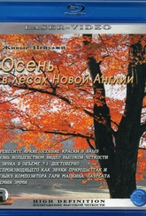 Обложка Фильм Живые пейзажи Осень в лесах Новой Англии