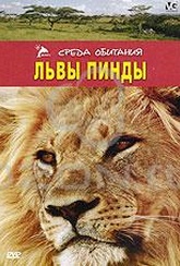 Обложка Фильм Львы Пинды (Lions of phinda, the)