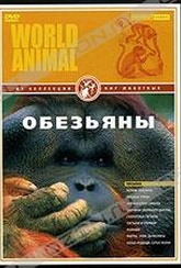 Обложка Фильм Мир животных: Обезьяны