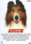 Обложка Фильм Лесси (Lassie)