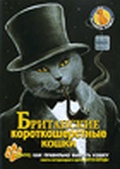 Обложка Фильм Британские короткошерстные кошки